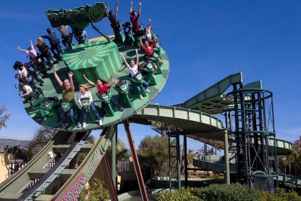 WhatsApp Image 2025-12-29 at 15.42.04